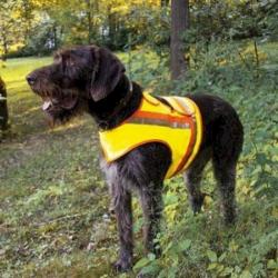 Gilet de signalisation et protection pour chien taille 1