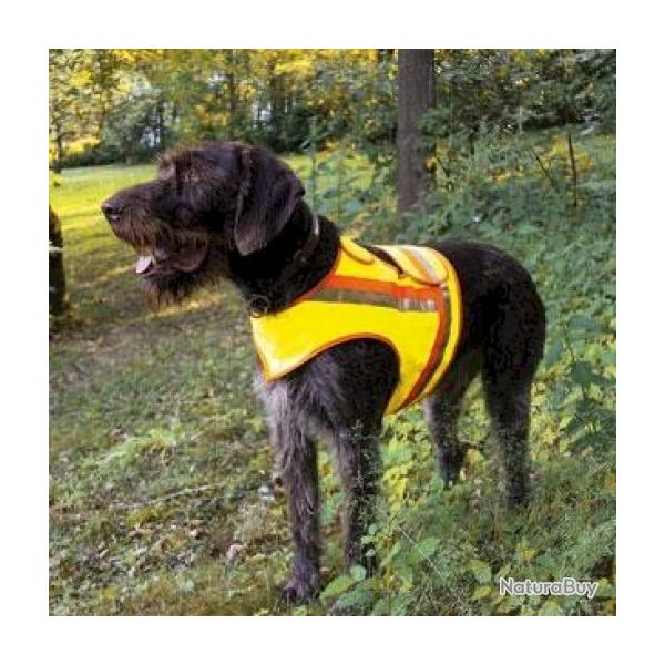 Gilet de signalisation et protection pour chien taille 1