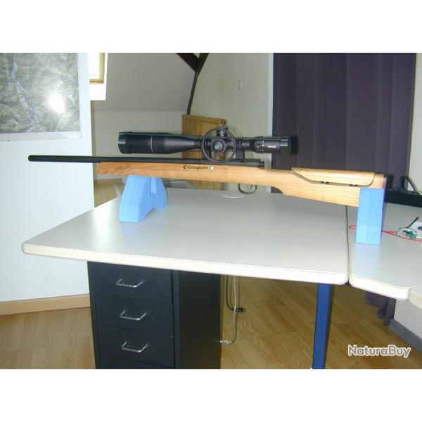 Carabine Bench Rest Walther UIT sur crosse Cicognani avec appuis joue