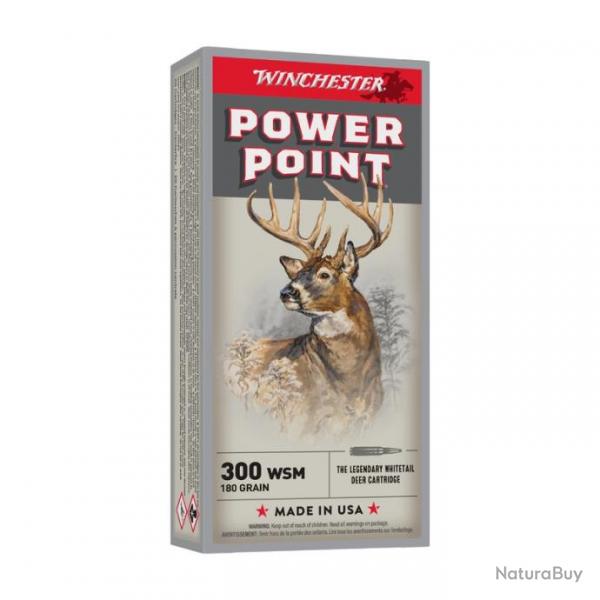 BALLES WINCHESTER POWER POINT CAL300 WSM 180 GRAINS