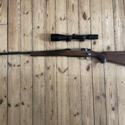 Carabine Gaucher Ruger