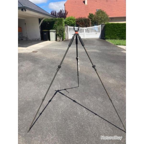 Canne de putsch tripod occasion