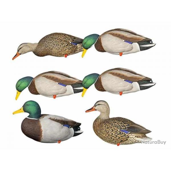 Formes de colvert sur pattes AvianX