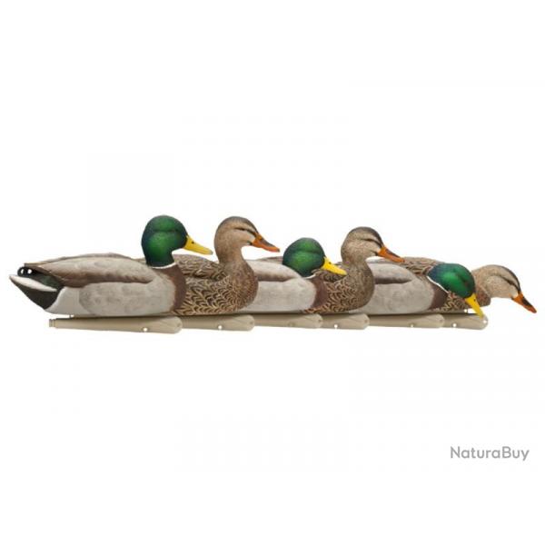 Formes de colvert AvianX Top Flight HD