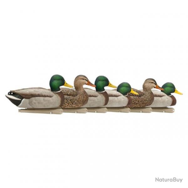 Formes de colvert AvianX open water HD