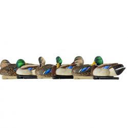 Formes de colvert AvianX Repos et actifs HD