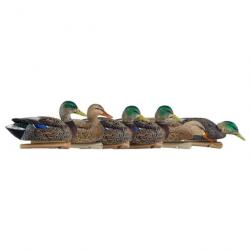 Formes de colvert AvianX early season HD