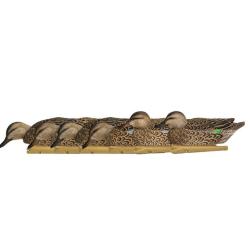 Formes de sarcelle d&eacute;but de saison AvianX