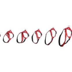 HARNAIS CROSS ABBI ROUGE XXS 42-50CM 15MM