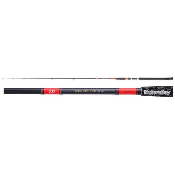 CANNE DAIWA MEGAFORCE SILURE 242 H