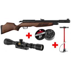 Promo ! Pack Gamo Riser Punisher 5,5 mm 40 J + Lunette 3-9 x 40 WR + Pompe Flex PCP Arrow + Plombs