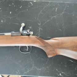 Carabine Alpine 300 win mag avec point rouge