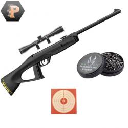 Carabine Gamo junior Delta Fox GT Ring jaune Cal 4.5 + plombs + cibles + lunette