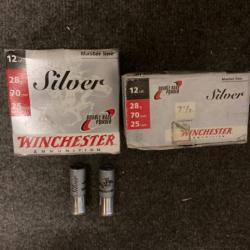 100 Winchester Silver 28gr