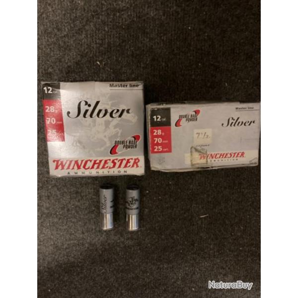 100 Winchester Silver 28gr