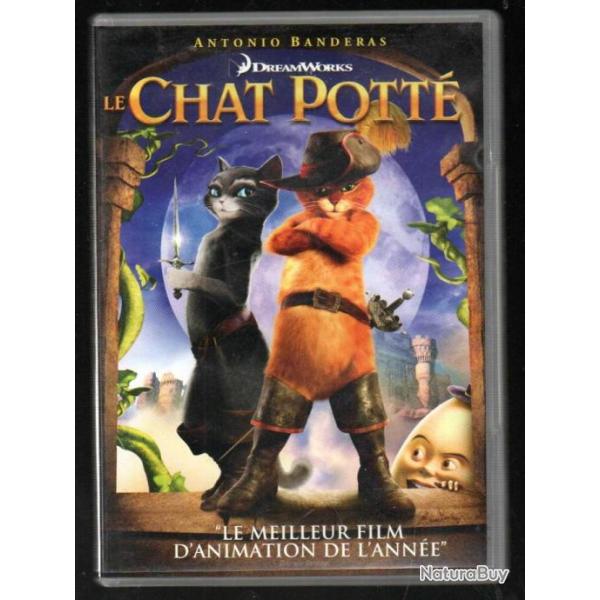 le chat pott dreamworks , animation