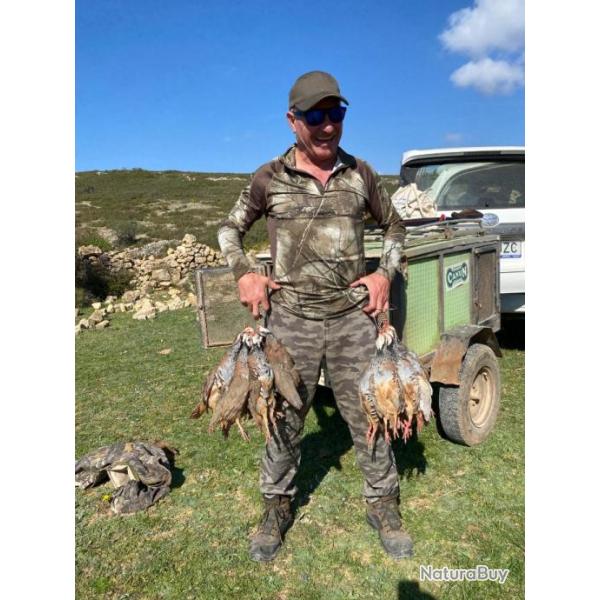 Chasse Perdrix Rouge en Espagne - Coto La Costereta