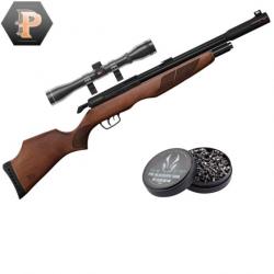 Carabine PCP Gamo RISER Punisher calibre 5,5 mm 40 Joules + plombs + lunette