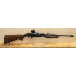 Carabine Remington 7600 a pompe calibre 35 Whelen + point rouge Bushnell