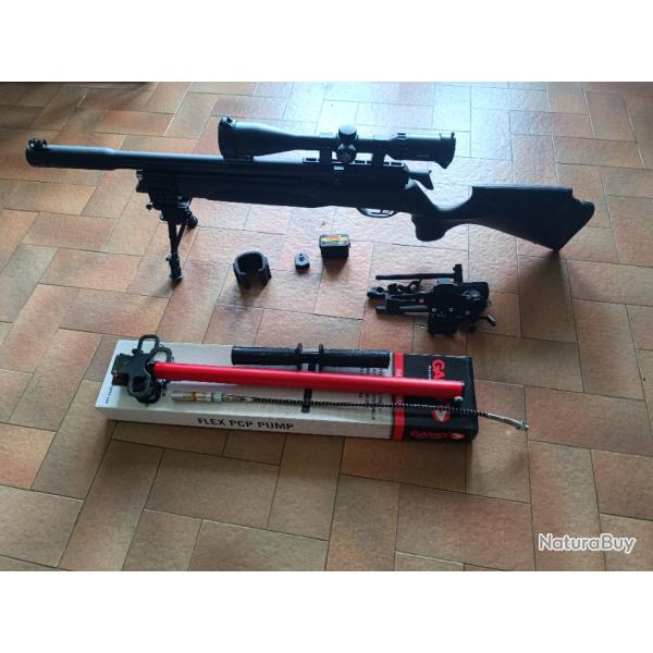 Gamo Arrow avec quipements