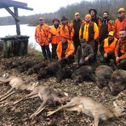 A SAISIR ! nombre limité ! Week end Chasse aux sangliers, chevreuils et cervidés