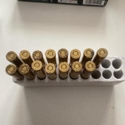 Munitions winchester 270 win