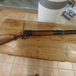 BABY BRETTON CALIBRE  12/70