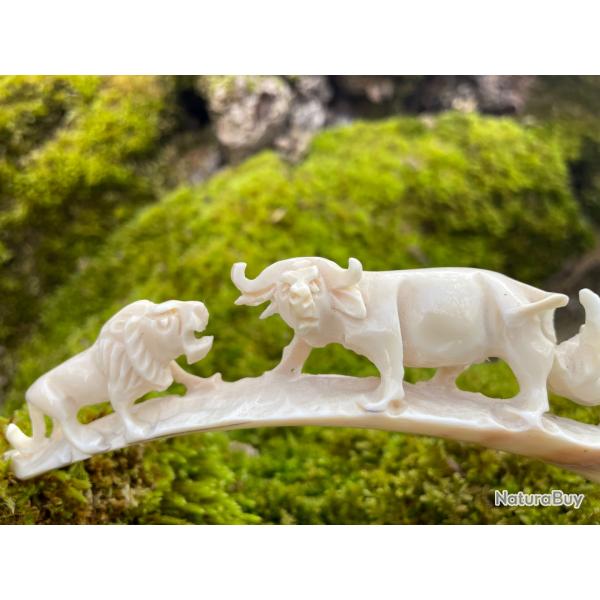 Dent de phacochre sculpter  lion ,buffle et phacochre