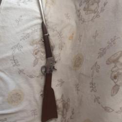 Carabine remington