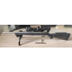 Ruger American Rimfire canon inox 22LR + colliers