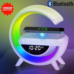 Haut-parleur enceinte Bluetooth avec chargeur induction RGB G Radio FM Ecran pour atelier