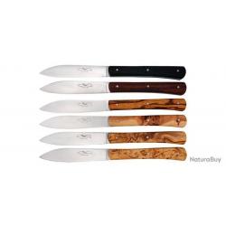 Zen Table - Coffret 6 couteaux Panaché