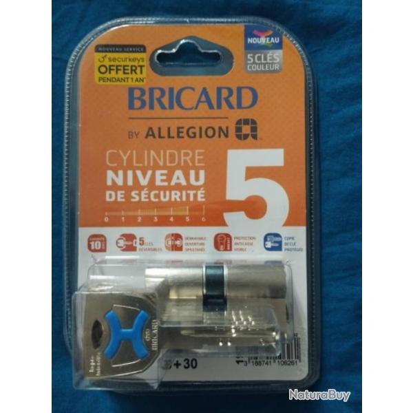 BRICARD Cylindre Trs Haute Scurit Mistral S2 dbrayable 30X30mm -  NEUF