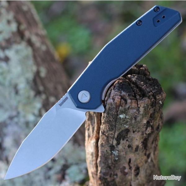 Kershaw Lucid 2036