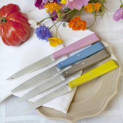 Opinel Coffret de 4 couteaux de table N°125 Bon Appétit Campagne