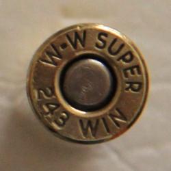 243 Winchester  ( W-W SUPER )