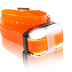 Collier supplémentaire Dogtra 4500 Edge - Orange