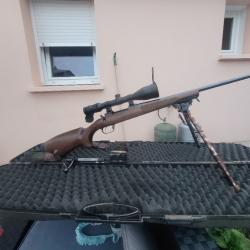 Cz 550 luxe 243 winchester