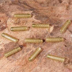 Tétine Extra Carp Heli Beads 25mm (par 10)