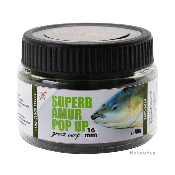 Pop Ups Carp Zoom Spcial Amour Blanc 16mm 40g