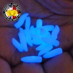 Asticot Enterprise Tackle Phospho Flottant Bleu (par 20)