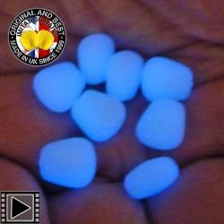 Maïs Doux Enterprise Tackle Phospho Flottant Bleu (par 8)