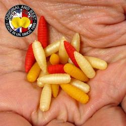 Larve d'Asticot Enterprise Tackle Mix Flottant (par 20)