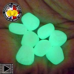 Maïs Doux Enterprise Tackle Fluorescent Flottant Vert (par 8)
