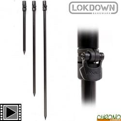 Pique Avid Carp Lok Down Bankstick  30cm