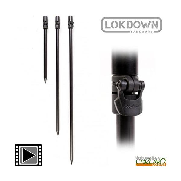 Pique Avid Carp Lok Down Bankstick  30cm