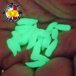 Asticot Enterprise Tackle Phospho Flottant Vert (par 20)