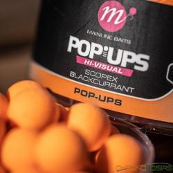 Pop Ups Mainline Limited Edition Hi Visual Scopex & Black Currant 15mm 250ml