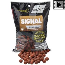 Bouillettes Starbaits PC Signal Mass Baiting 20mm 3kg