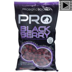 Bouillettes Starbaits Probiotic Blackberry 14mm 800g